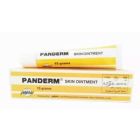 PANDERM OINTMENT 15 GM
