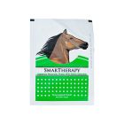 SMART THERAPY PLASTER BACK PAIN COLD 50 P