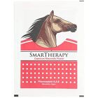 SMART THERAPY PLASTER BACK PAIN HOT 50 P