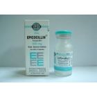 EPICOCILLIN 500 MG VIAL