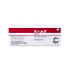 AMOXIL 250 MG CAPSULE 20P