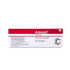 AMOXIL 500 MG CAPSULE 20P