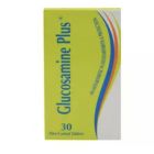 GLUCOSAMINE PLUS 500MG TABLET 30P