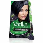 VATIKA HAIR COLOUR BLUE BLACK 1/0